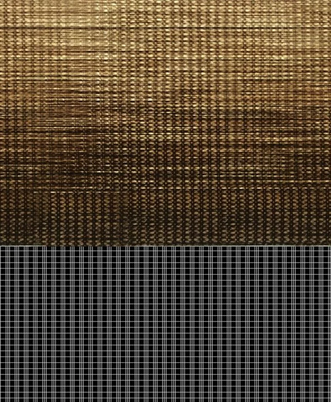 Fabric close-up for Z218-818