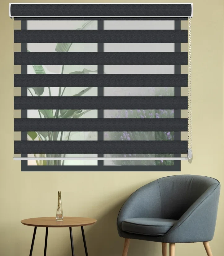 Zebra Blinds 1264
