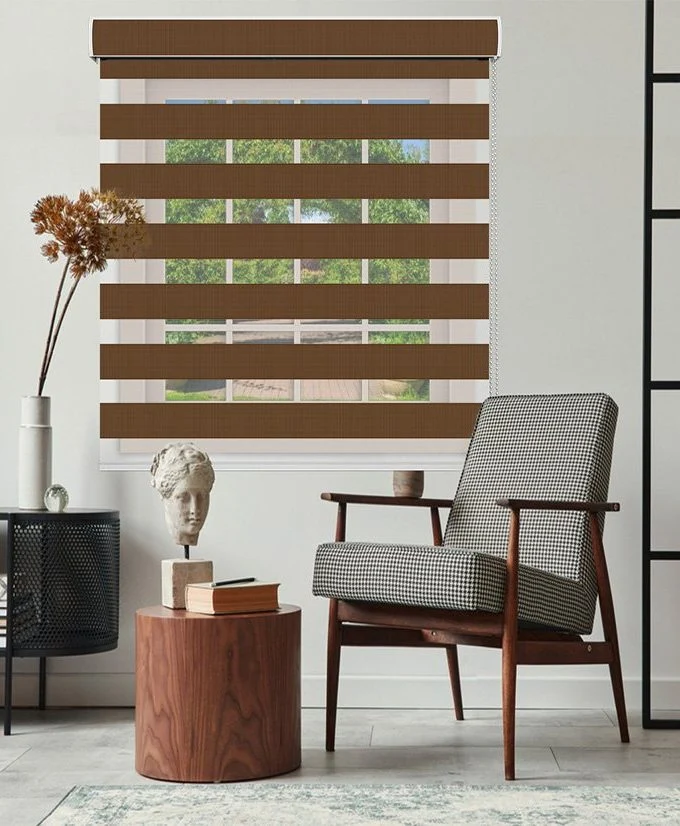 Zebra Blinds Z-3106