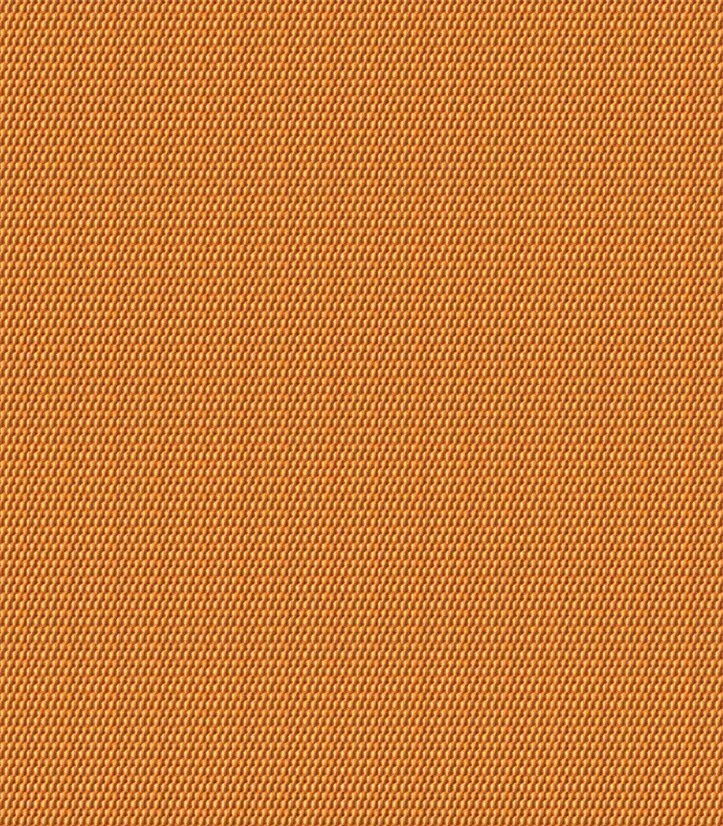 Fabric close-up for 1905