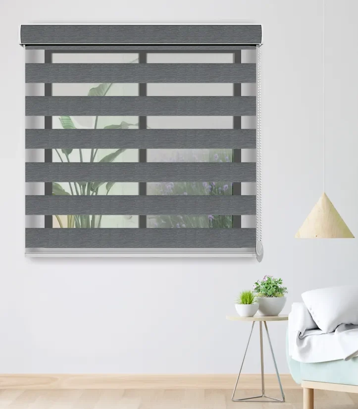 Zebra Blinds 1263