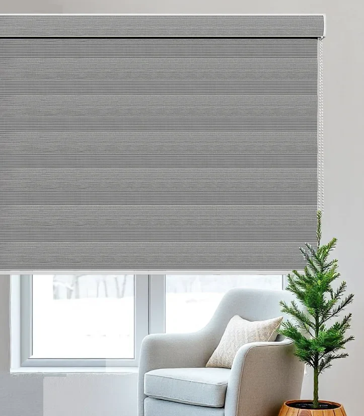 Zebra Blinds ECO24