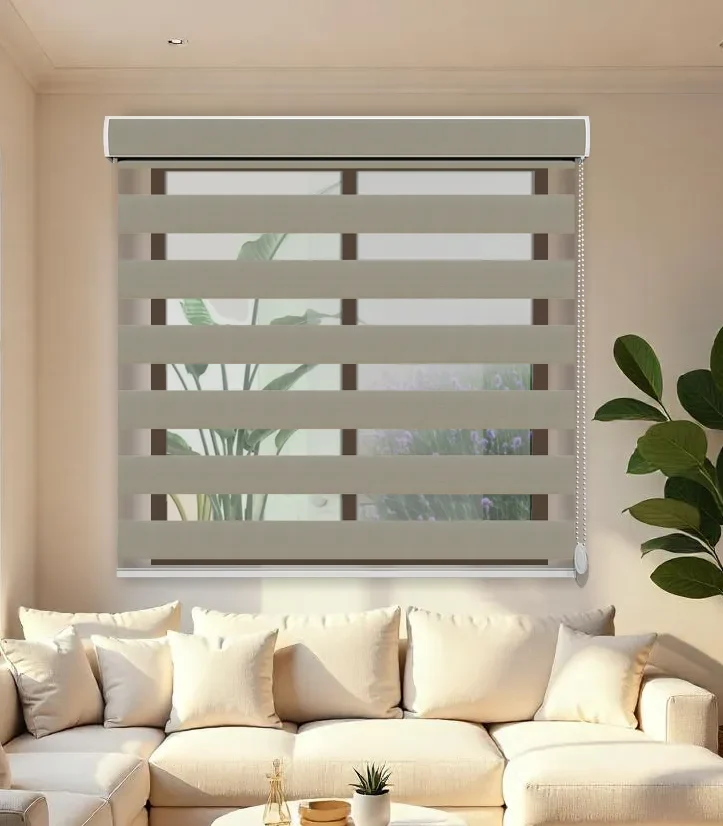 Zebra Blinds 1262