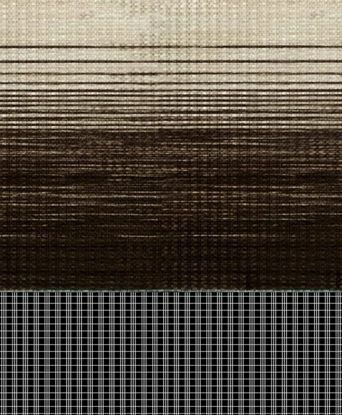 Fabric close-up for Z218-817