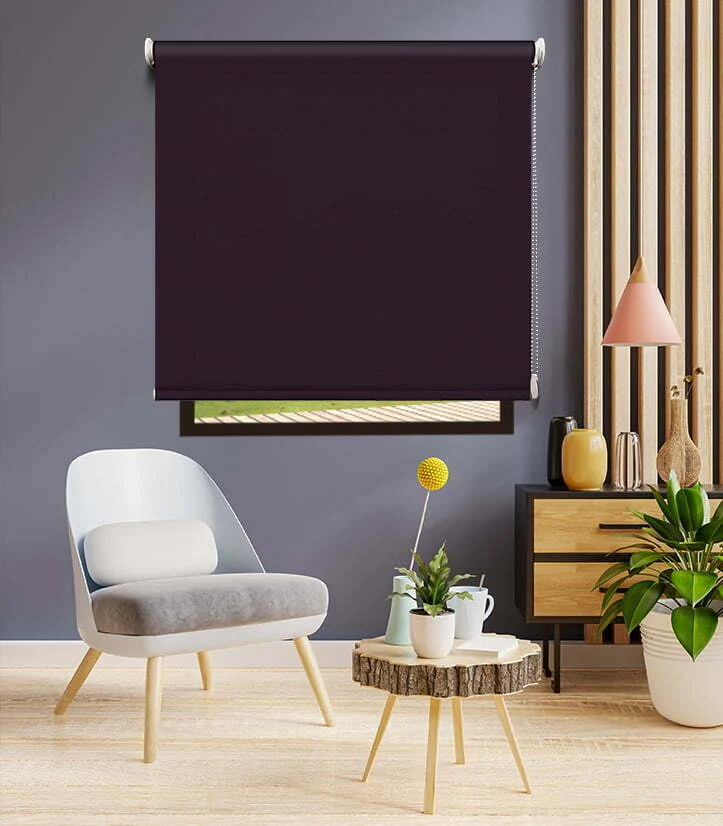 Sunscreen Blinds 50336-92