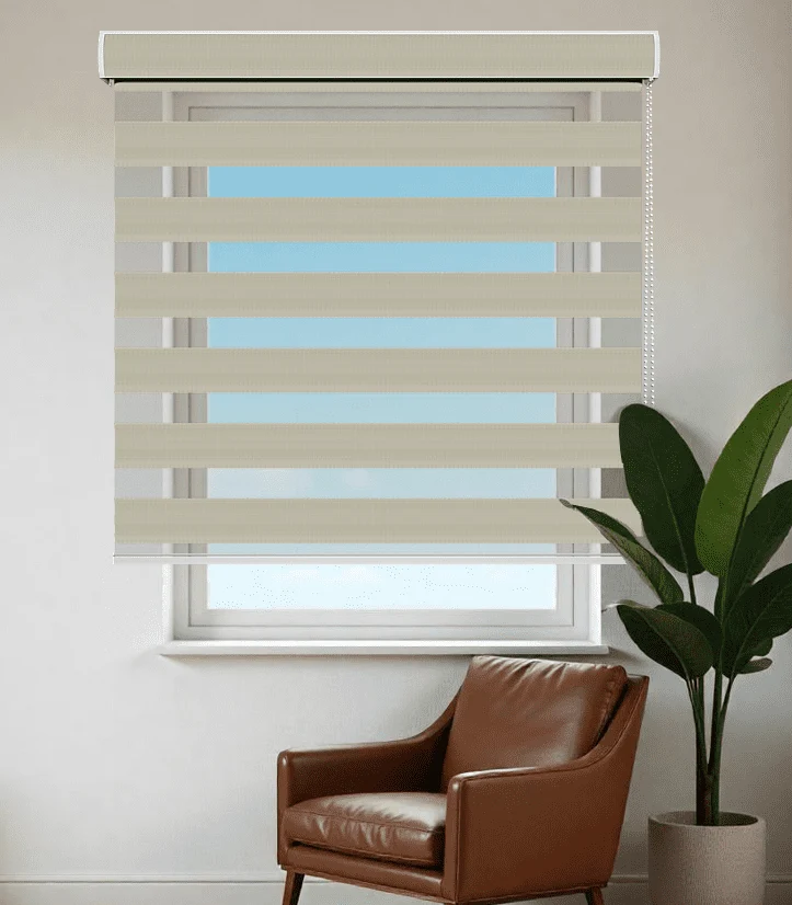 Zebra Blinds OKDV3
