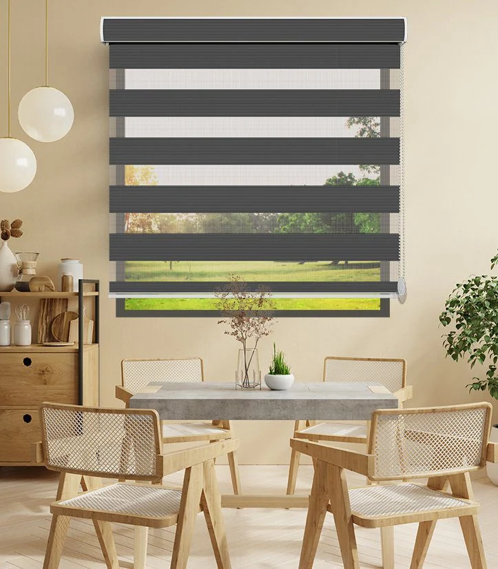Zebra Blinds Z340-V6