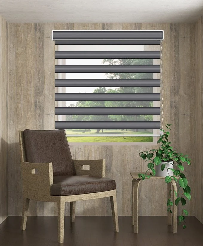 Zebra Blinds Z-6561