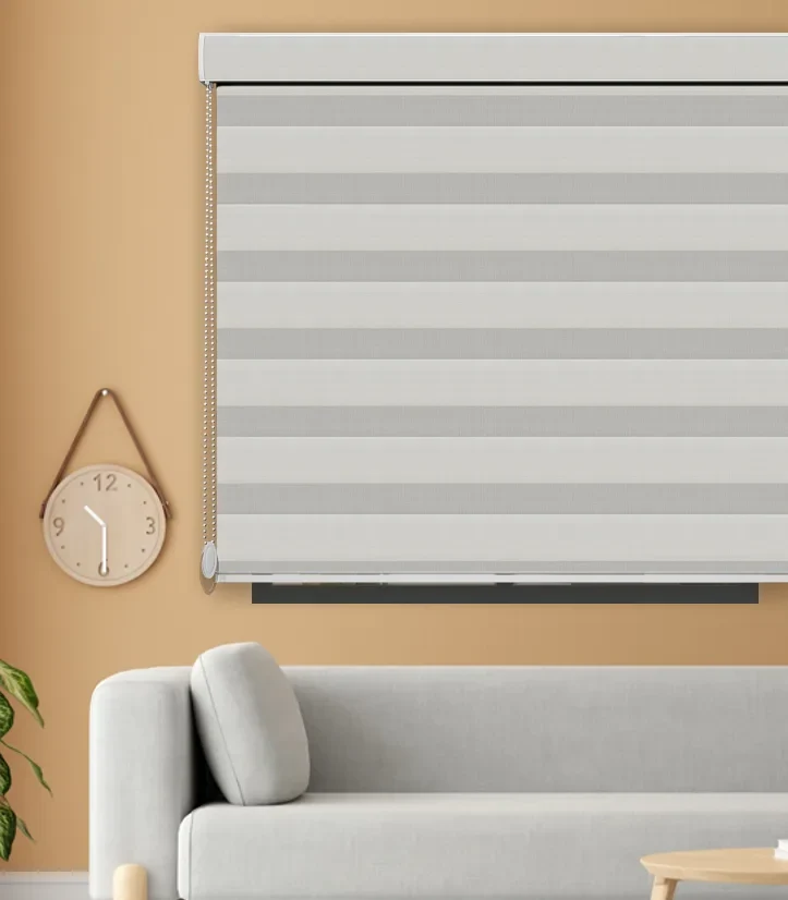 Zebra Blinds 1261