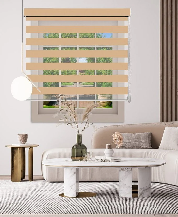 Zebra Blinds Z-3104