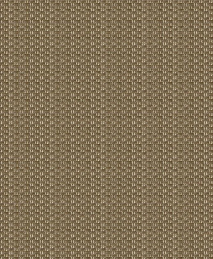 Fabric close-up for 1854