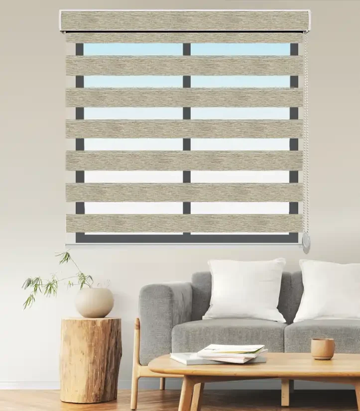 Zebra Blinds BAM R22