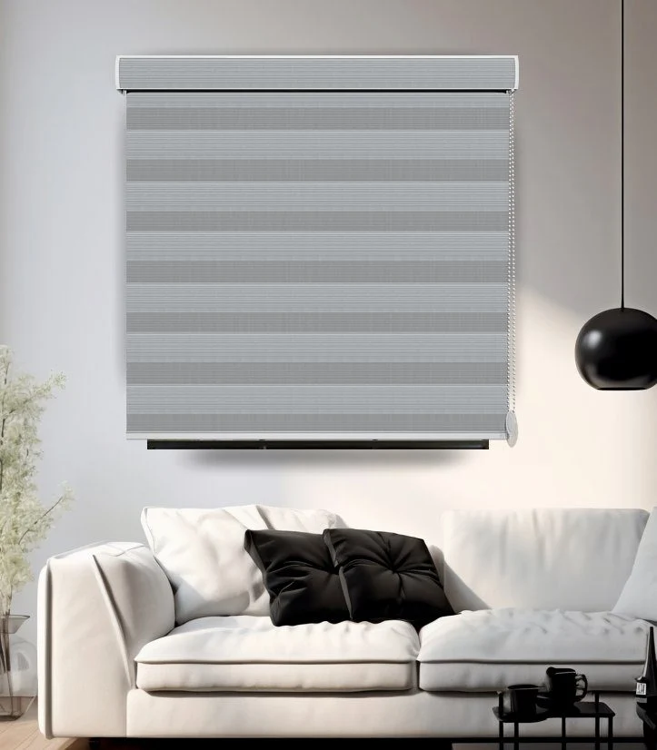 Zebra Blinds NEV-V1