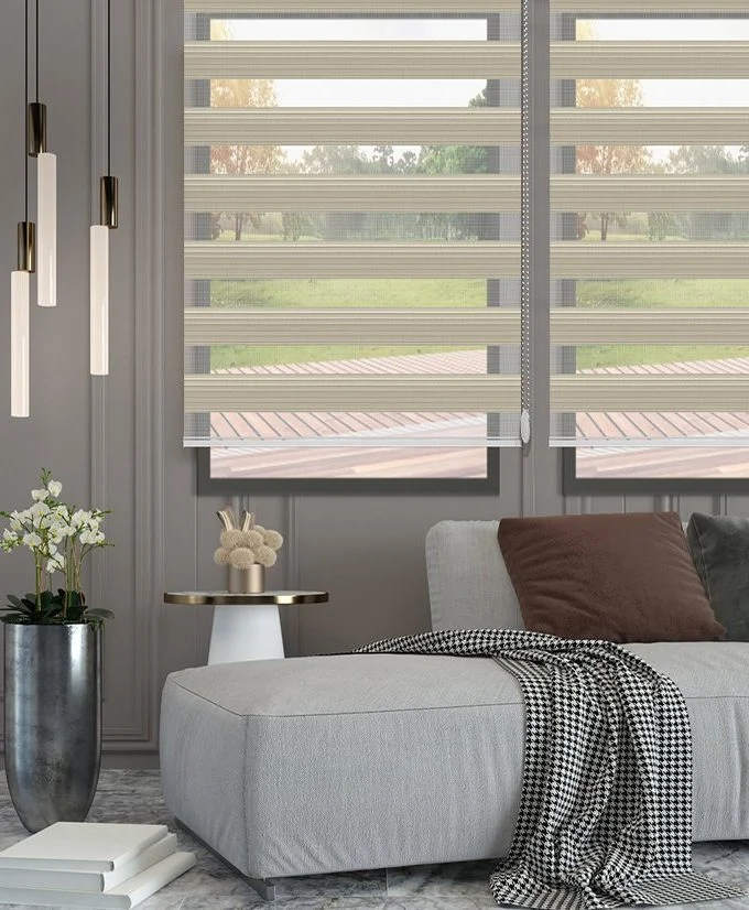 Zebra Blinds Z-3603