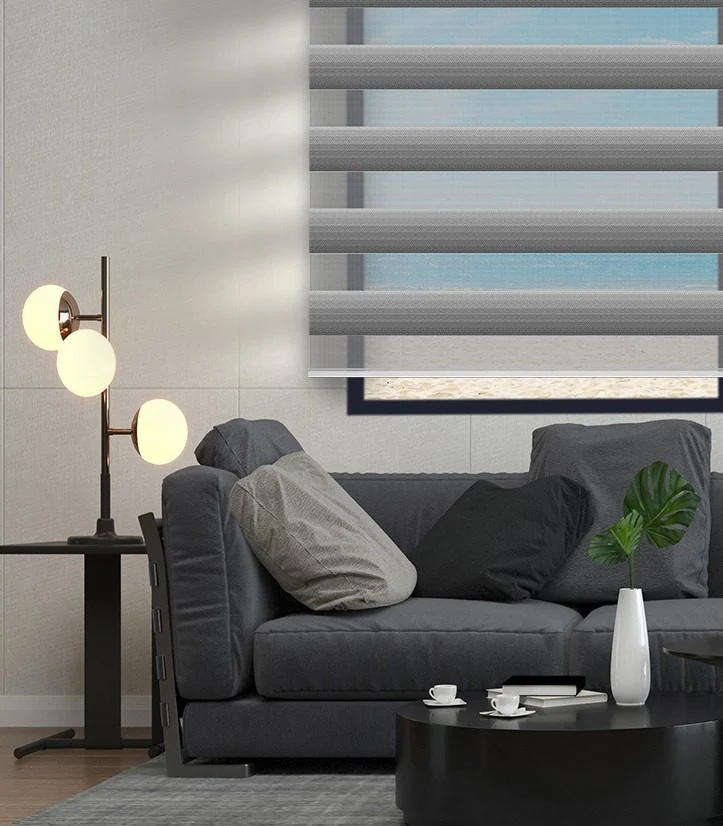 Zebra Blinds Z298-809