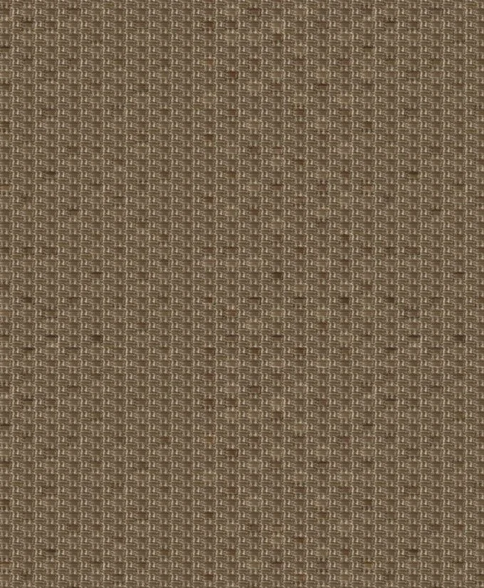 Fabric close-up for 1855