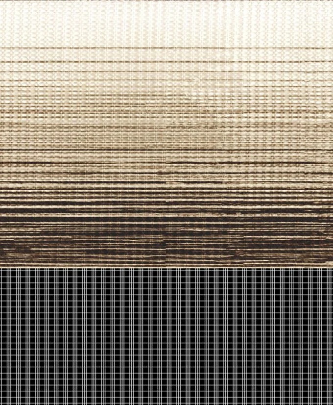 Fabric close-up for Z218-805
