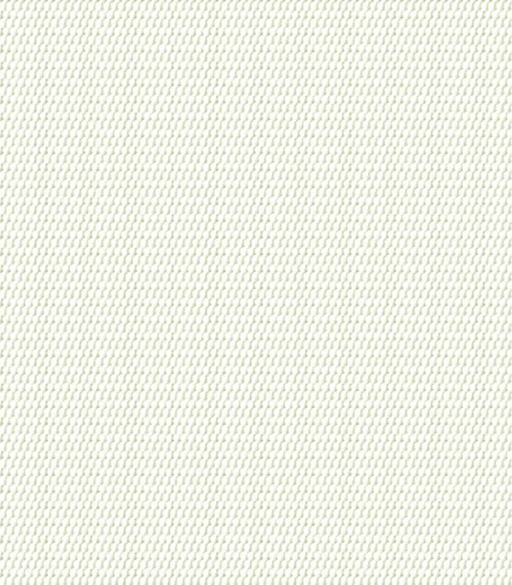 Fabric close-up for 1902