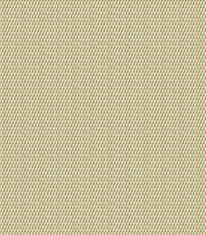 Fabric close-up for 1903