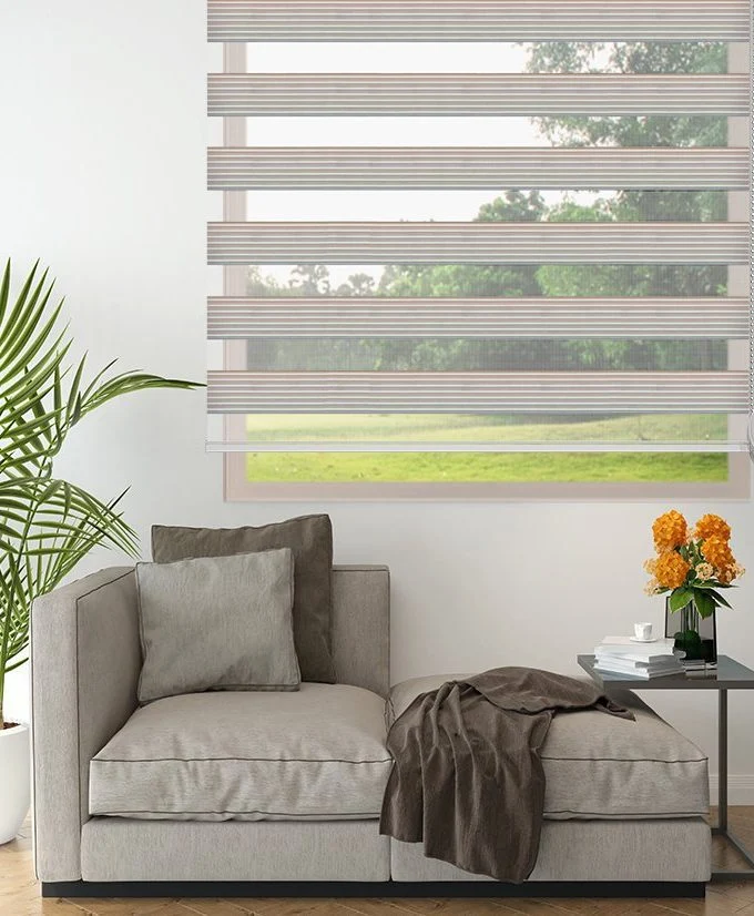 Zebra Blinds Z-4604